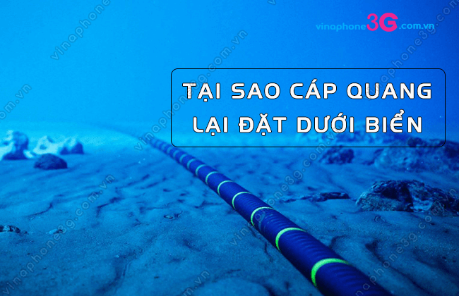 tai sao cap quang bien lai dat duoi bien