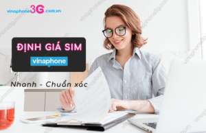 dinh gia sim vina