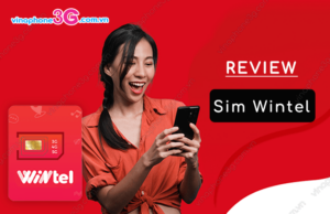 review sim wintel