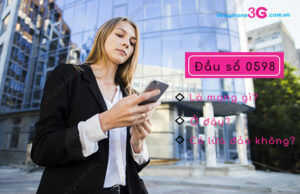 dau so 0598 la mang gi