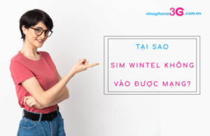 Cách fix lỗi sim Wintel không vào được mạng cực nhanh sim wintel khong vao duoc mang
