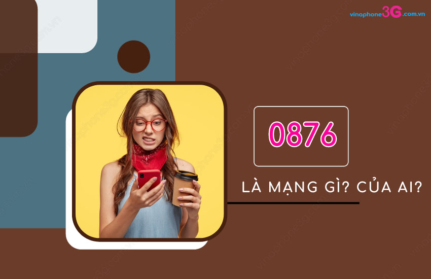 Dau so 0876 la mang gi