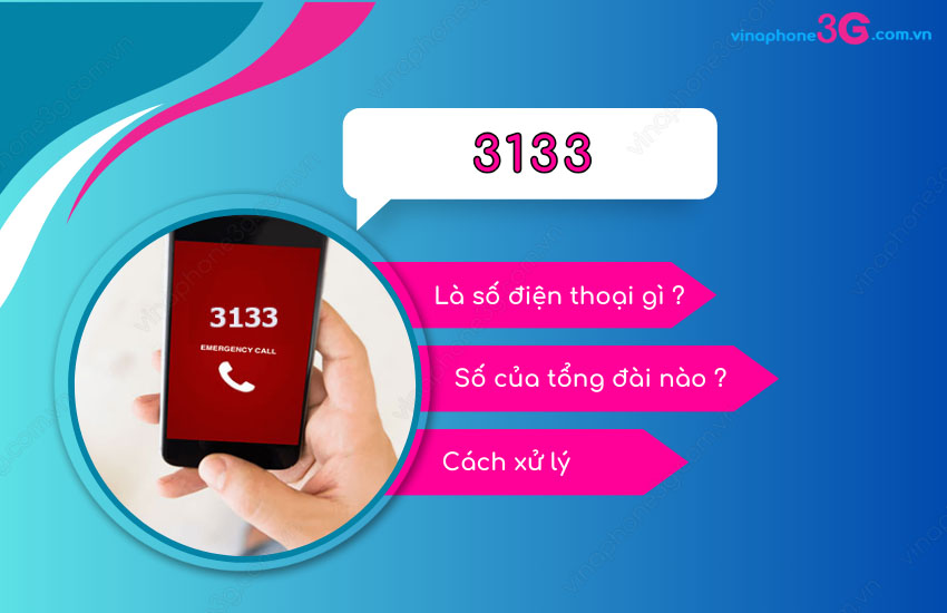 3133 la so dien thoai gi